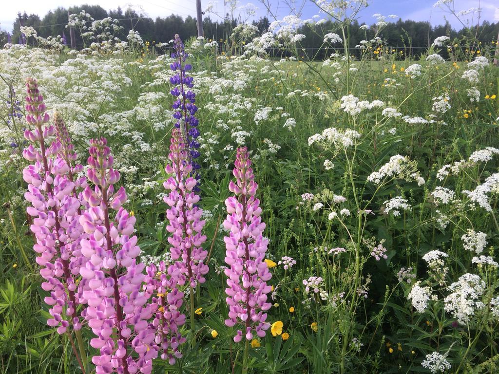 Ostello Karaby Gard, Country Living Kristinehamn Esterno foto