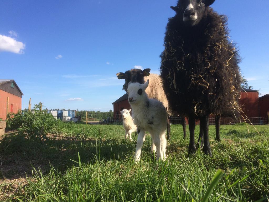 Ostello Karaby Gard, Country Living Kristinehamn Esterno foto